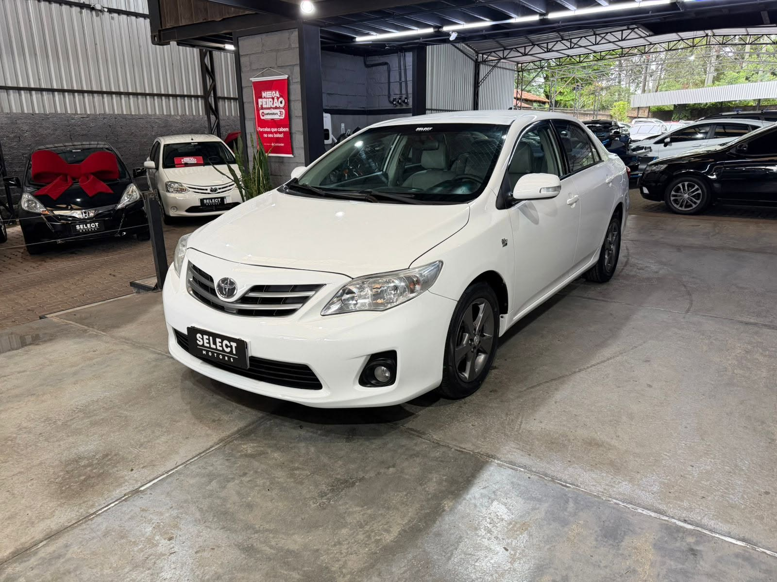 Showroom Select Motors